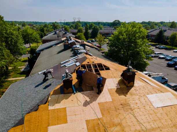 Best Flat Roof Repair Services  in Perry, KS