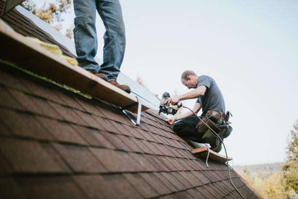 Best Storm Damage Roof Repair  in Perry, KS